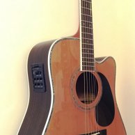 Zager ZAD 80CE/N Electro-Acoustic