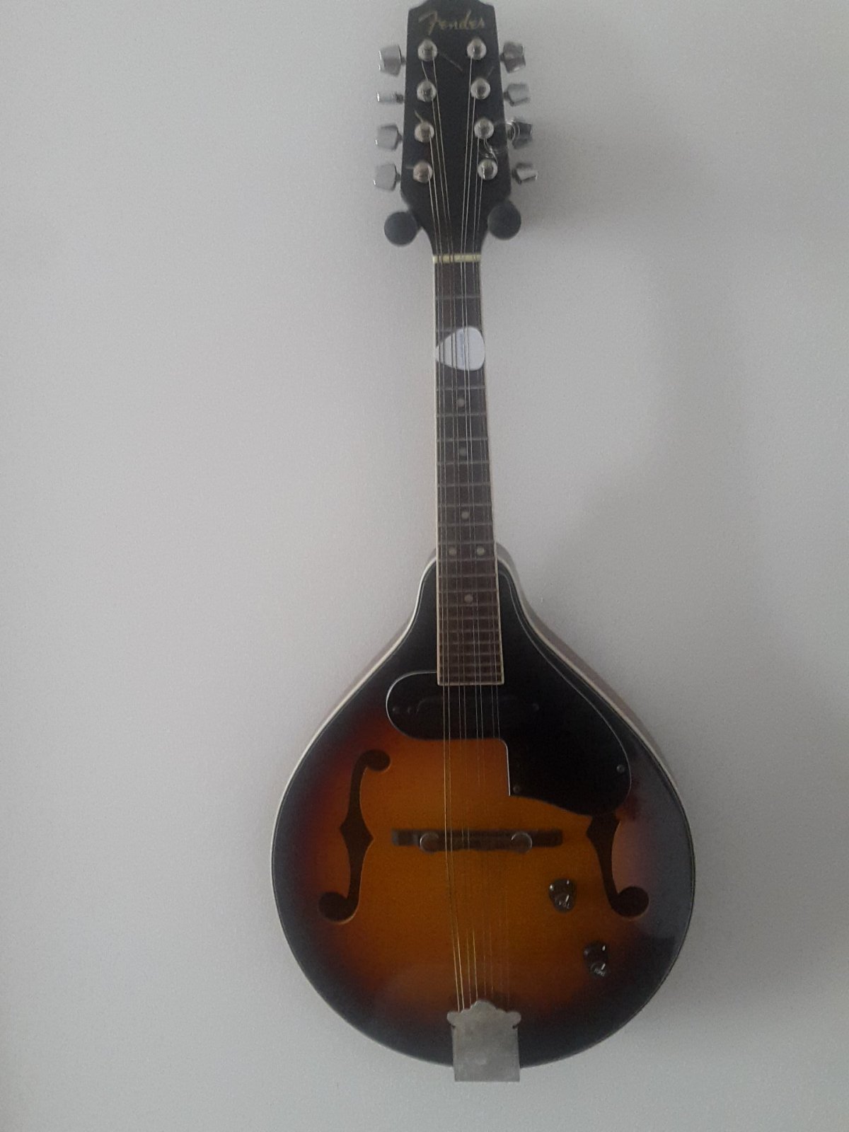 Fender Mandolin FM 52e electric-acoustic - Bbop.eu