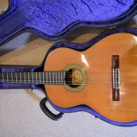 Concert Guitar (Case Included)