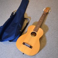 Baby Guitar (+case)