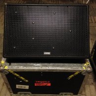EAW Stage Monitors (two) in road case